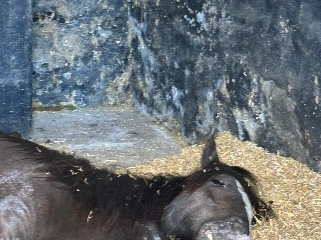 Hope Pastures景点图片