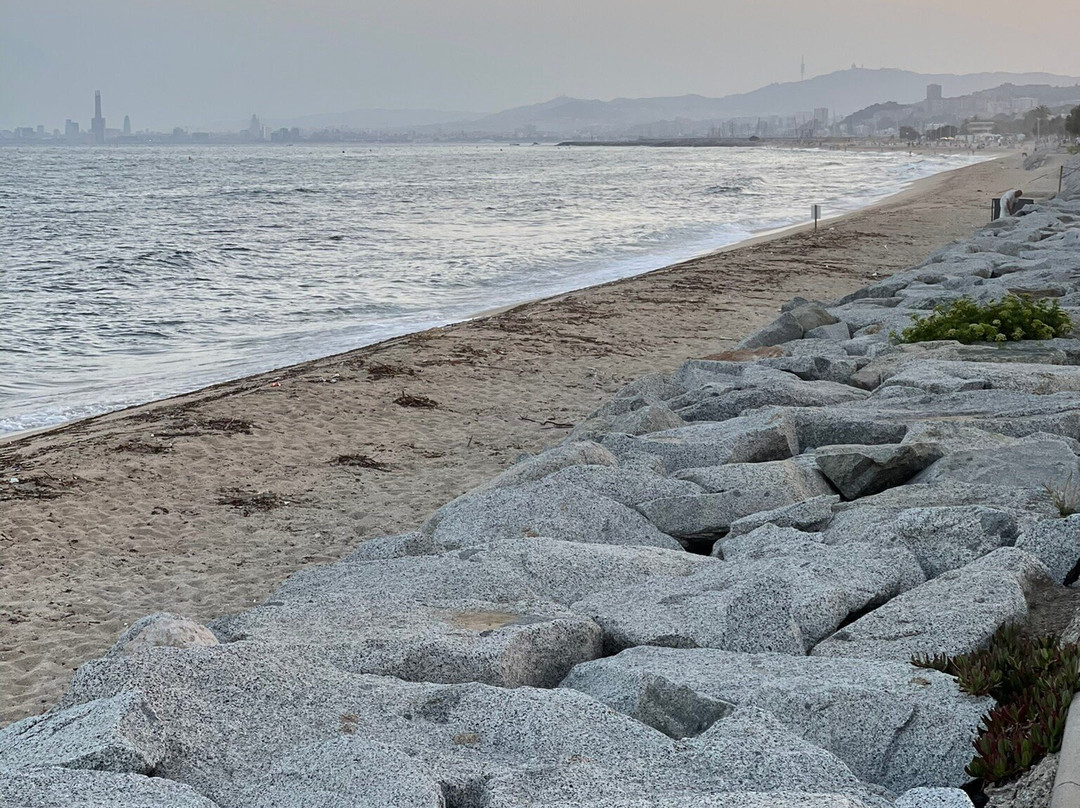 Platja del Masnou-埃尔马斯诺必去景点