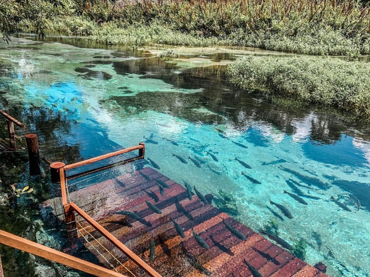 Rio Sucuri-博尼图必去景点