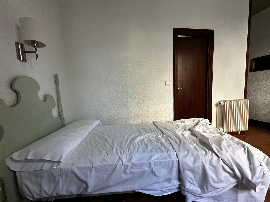 阿斯纳尔伯爵酒店主图