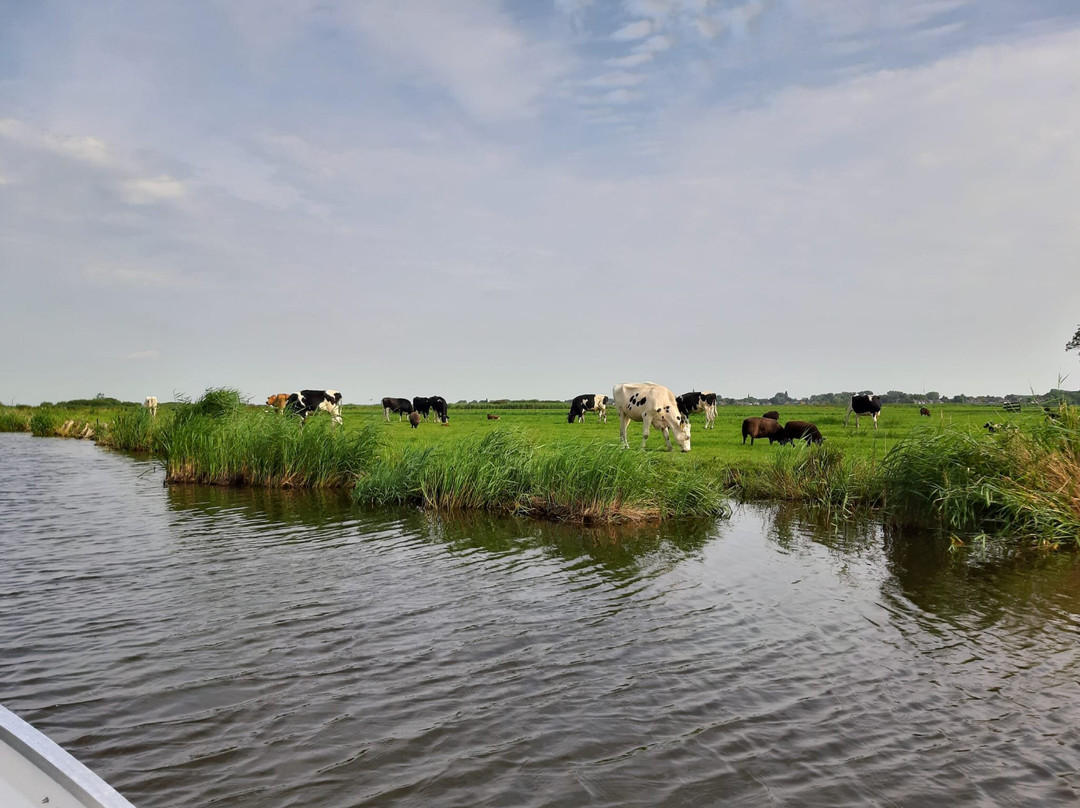 Broeker Bootverhuur Fluisterboot景点图片