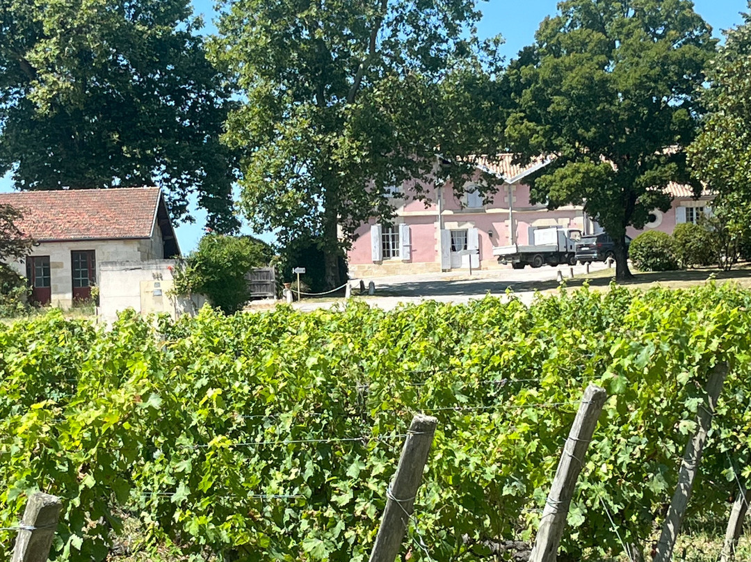 Chateau Loudenne景点图片
