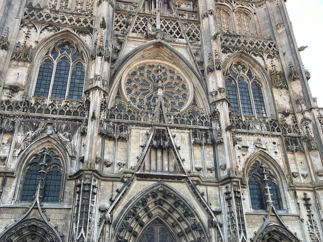 Cathedrale et cloitre Saint Etienne景点图片