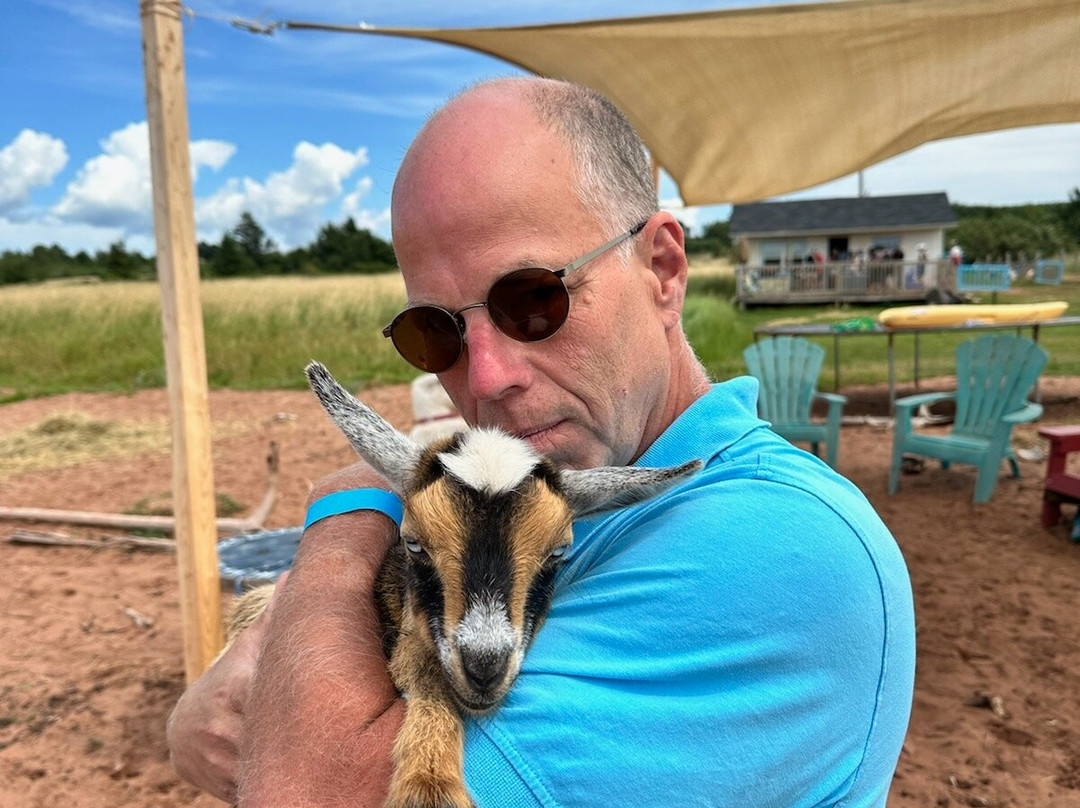 Beach Goats景点图片