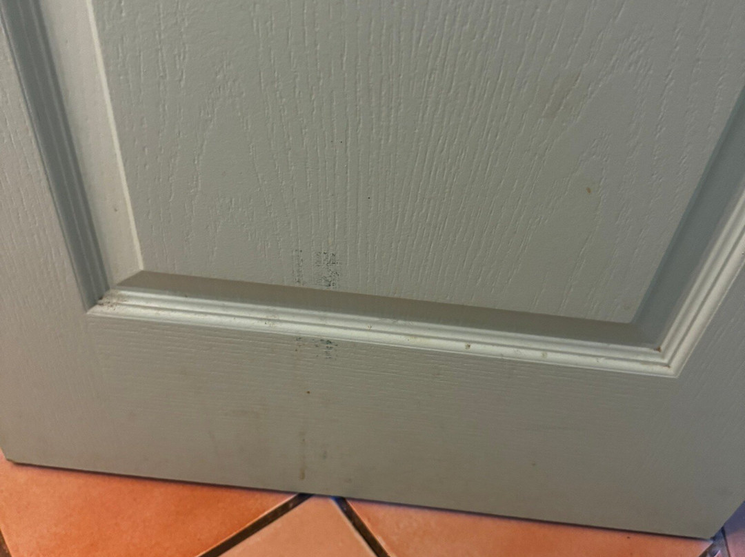 Résidence Odalys Référence La Palmeraie主图