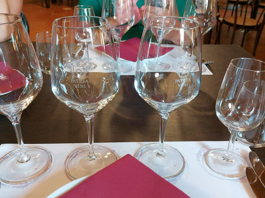 Winery Patria景点图片