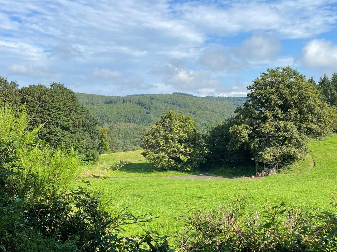 BoerenBed Rochefort en Ardenne