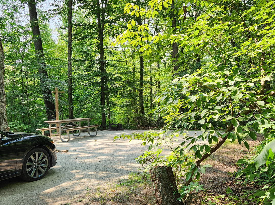 Tuckahoe State Park景点图片