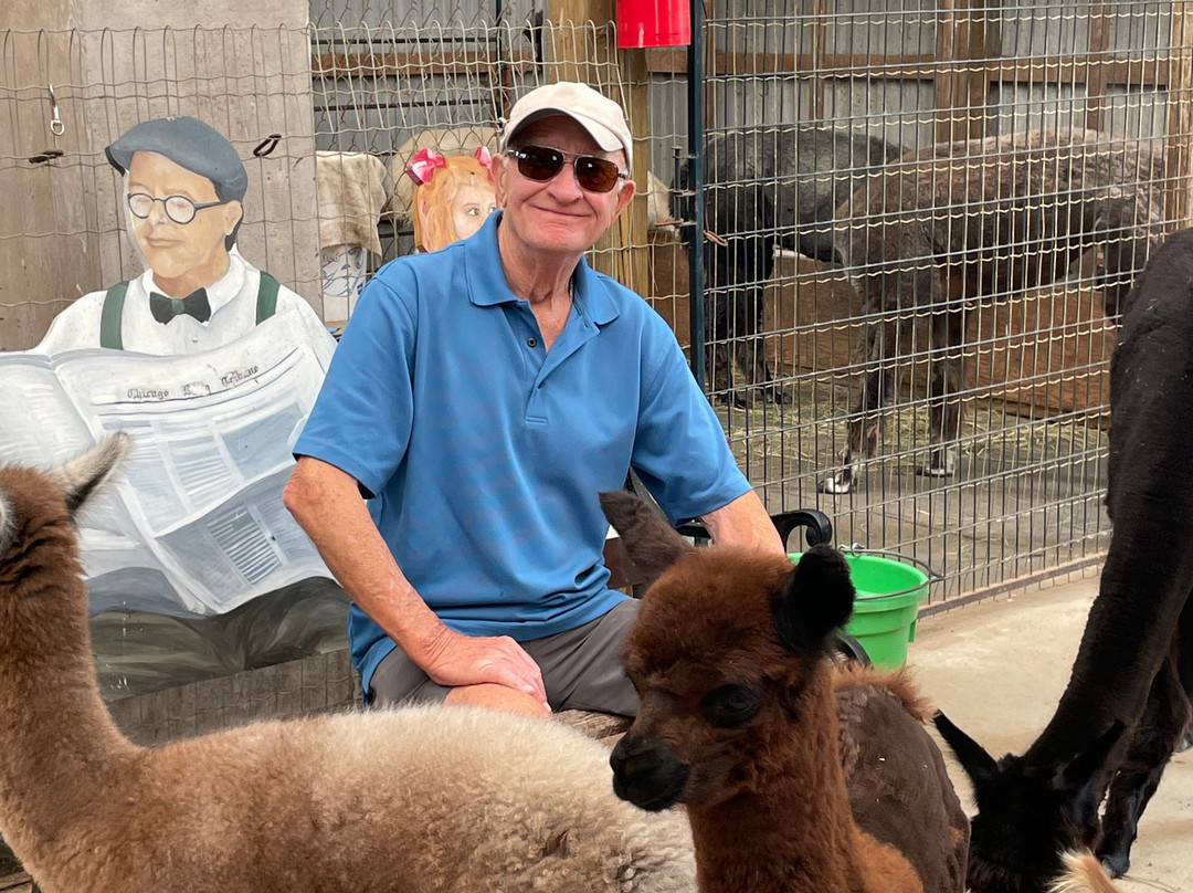 Kickin' Back Alpaca Ranch景点图片