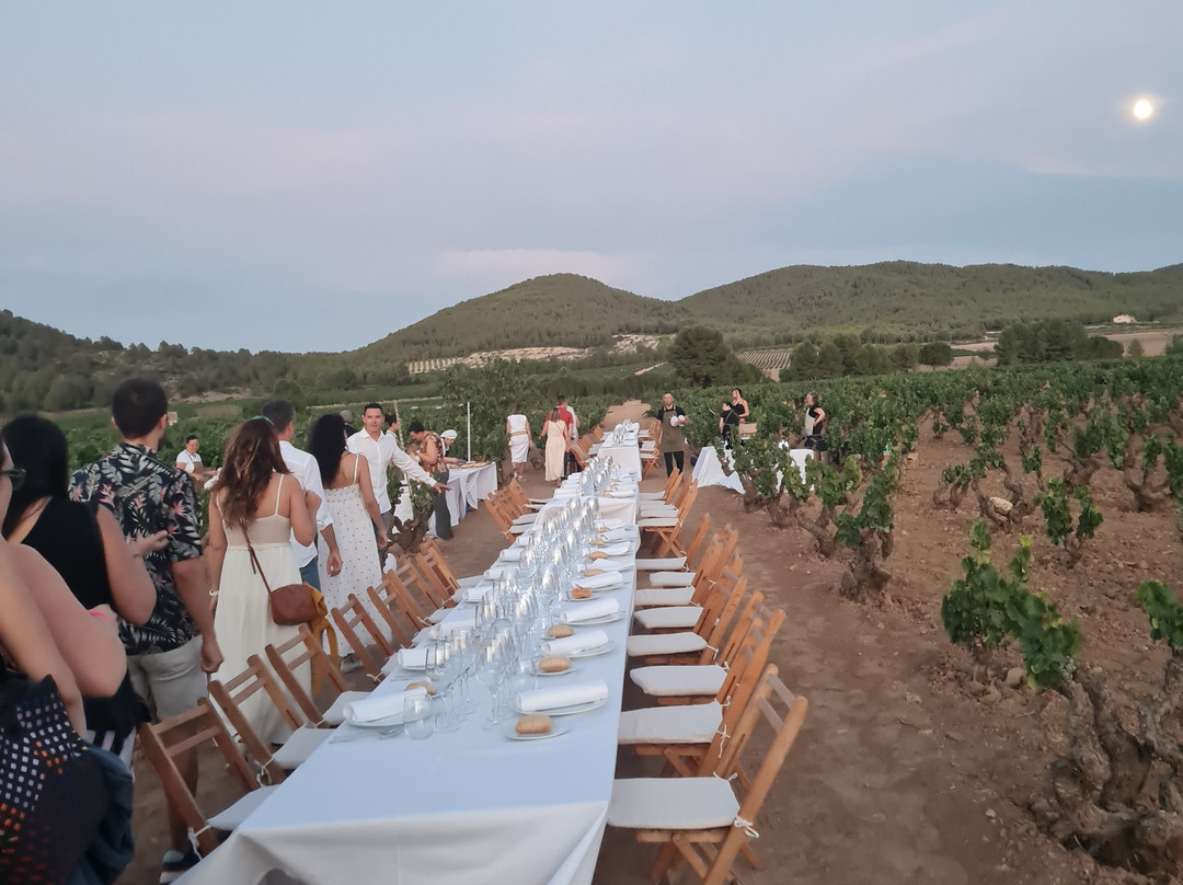 Bodega Balcona-Bullas必去景点