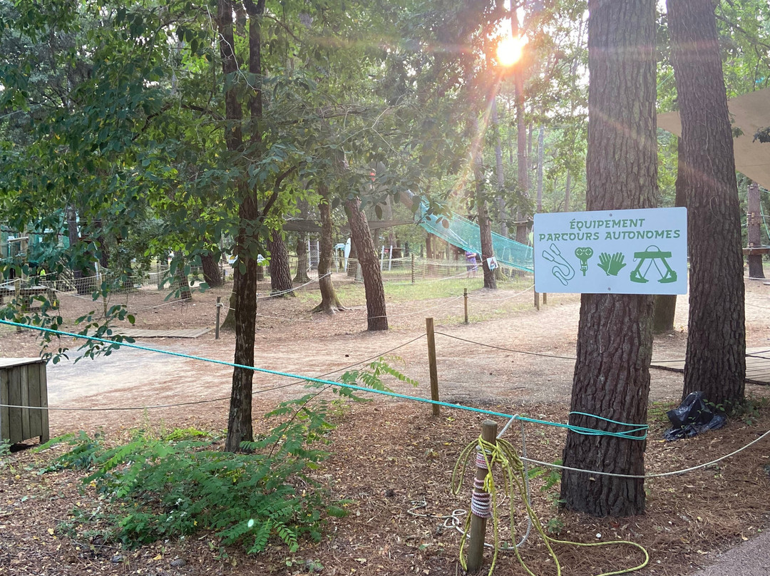 Indian Forest景点图片