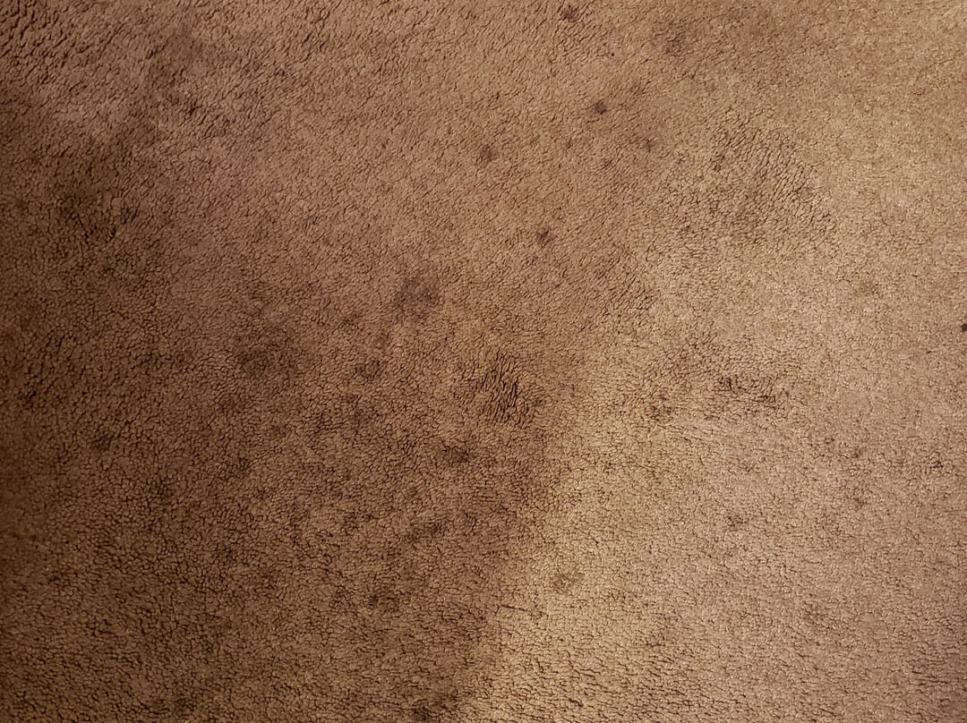 Quality Inn & Suites Goldendale主图