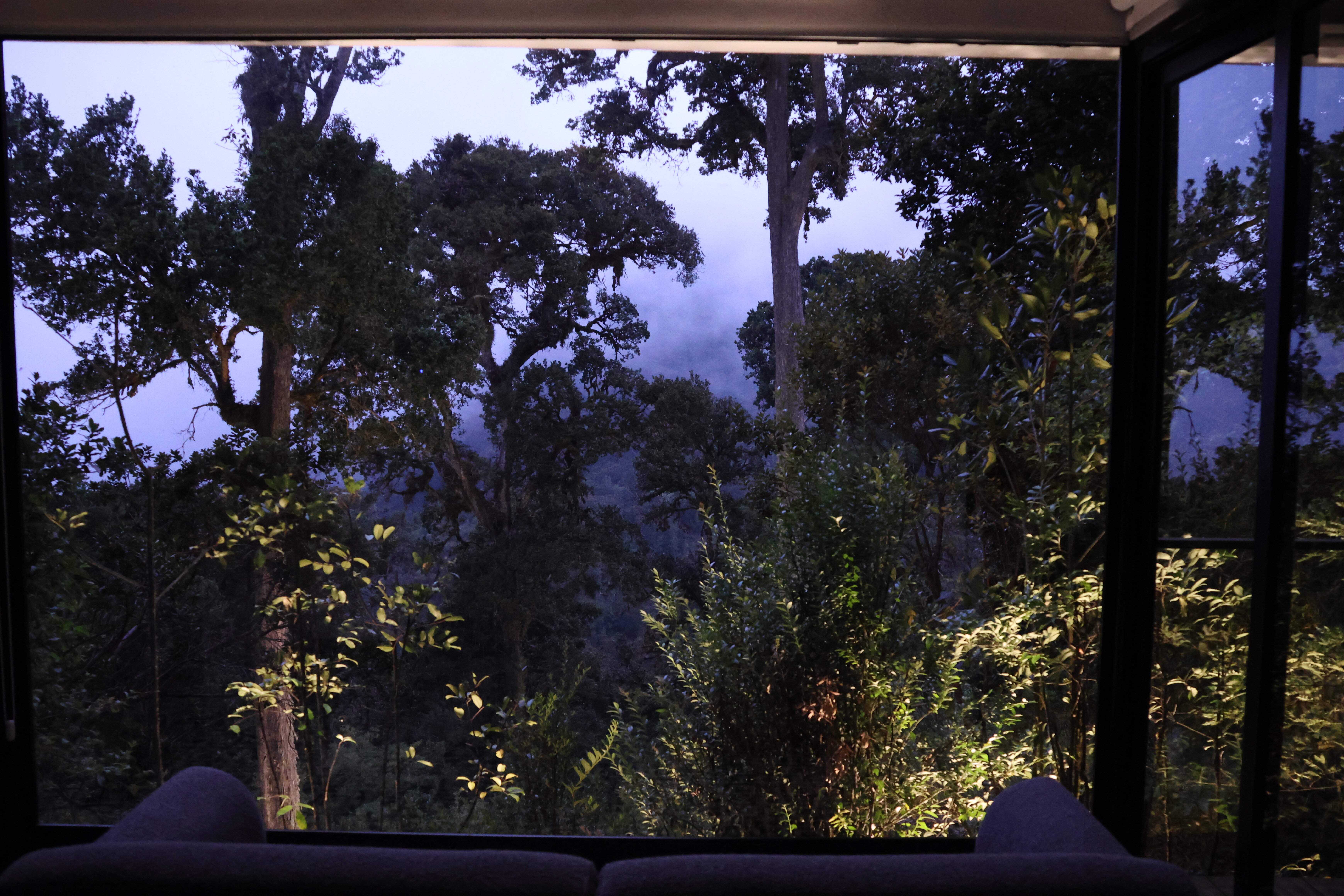 Dantica Cloud Forest Lodge-客卧