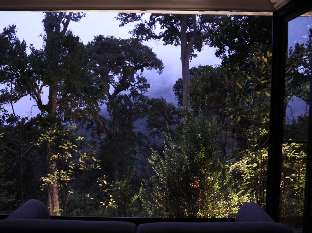 Dantica Cloud Forest Lodge主图