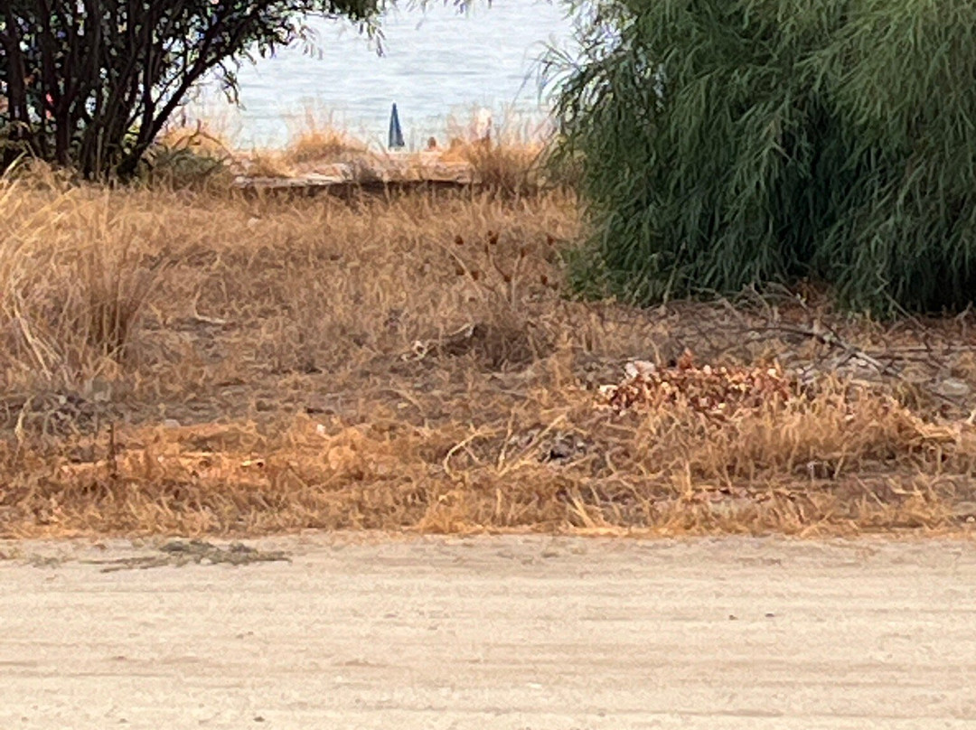 Il Sestante B&B主图