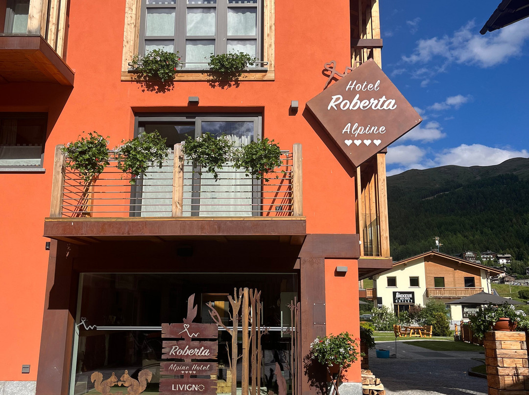 Hotel Roberta Alpine主图