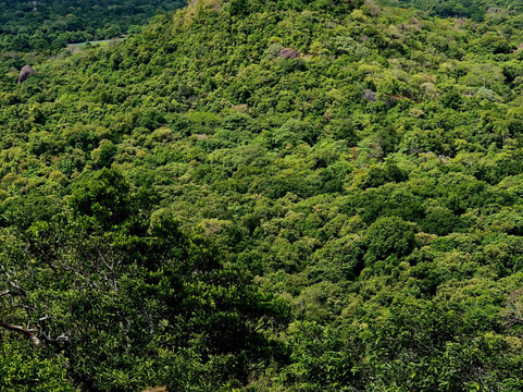 Serene Trails-马塔拉必去景点