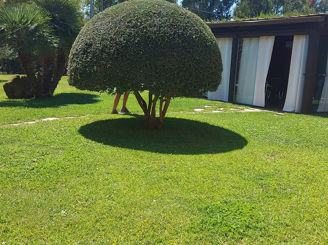 B&B Bonsai Alghero主图