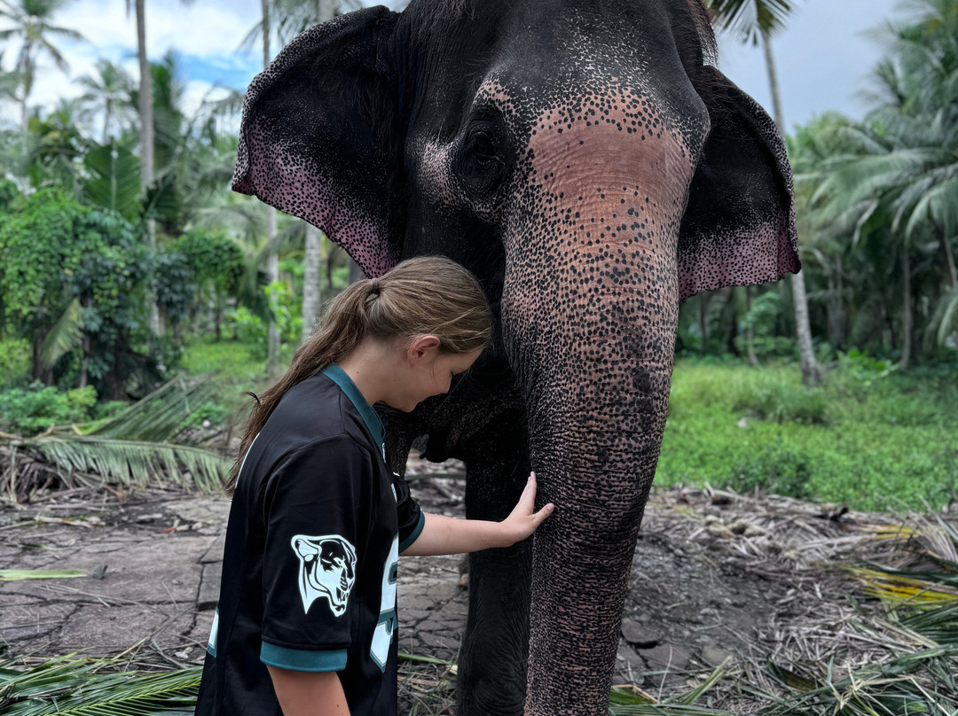 Ahungalla Beach-亚洪加拉必去景点