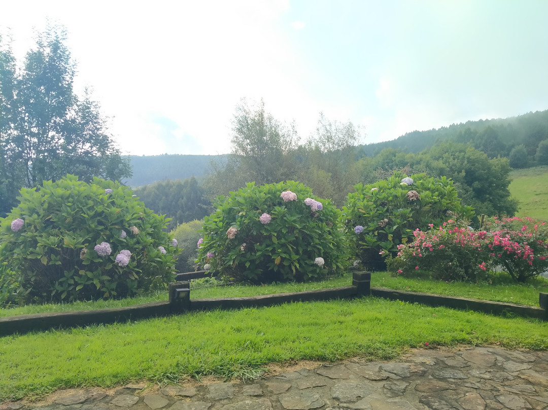 阿提克索拉乡村公寓酒店主图