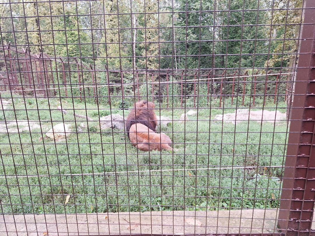 Miskolc Zoo and Culture Park景点图片
