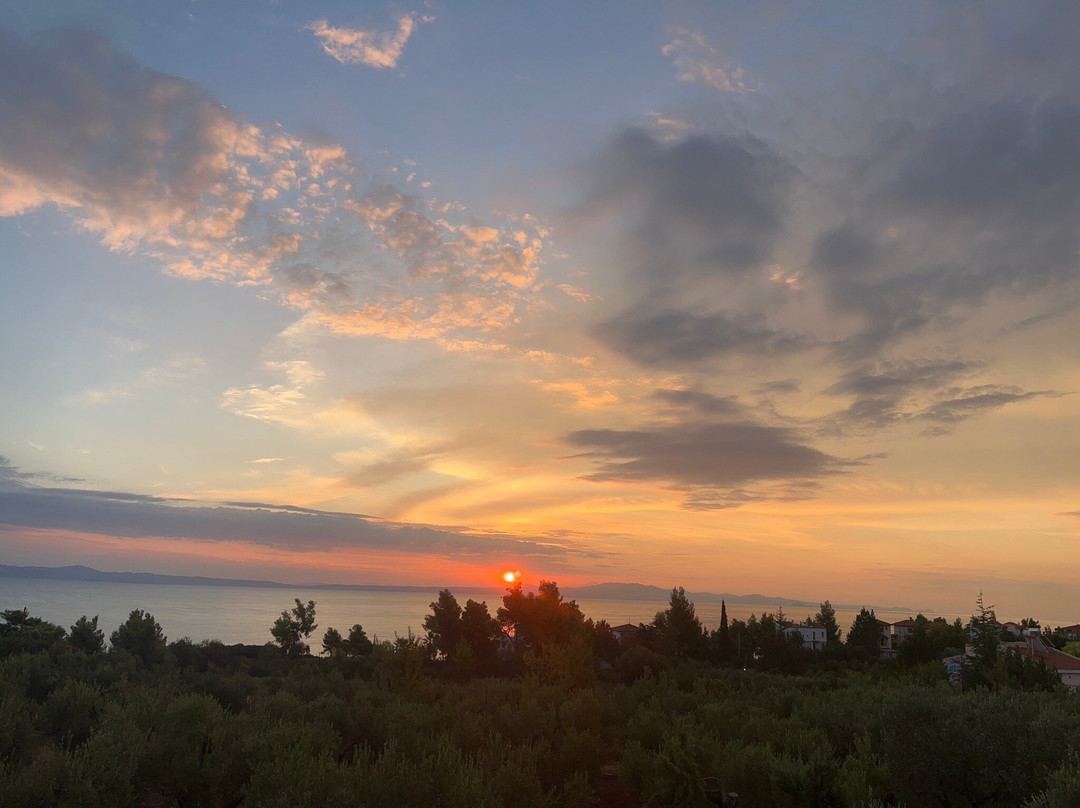 Kahlenberg Apartments主图