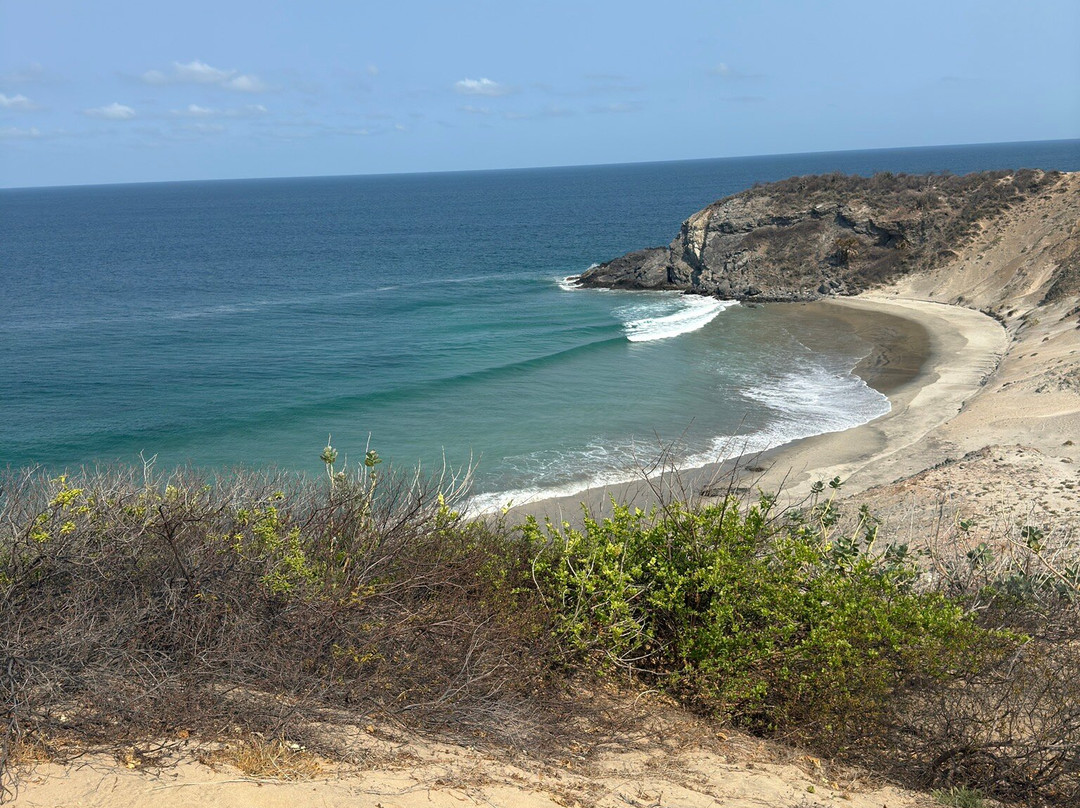 Mexico Waves Surf Trips & Surf Guiding景点图片