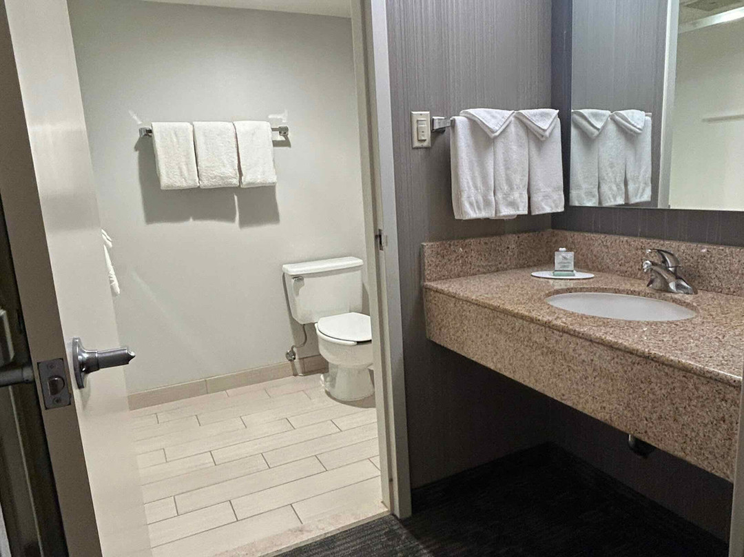 Courtyard by Marriott San Francisco Airport主图