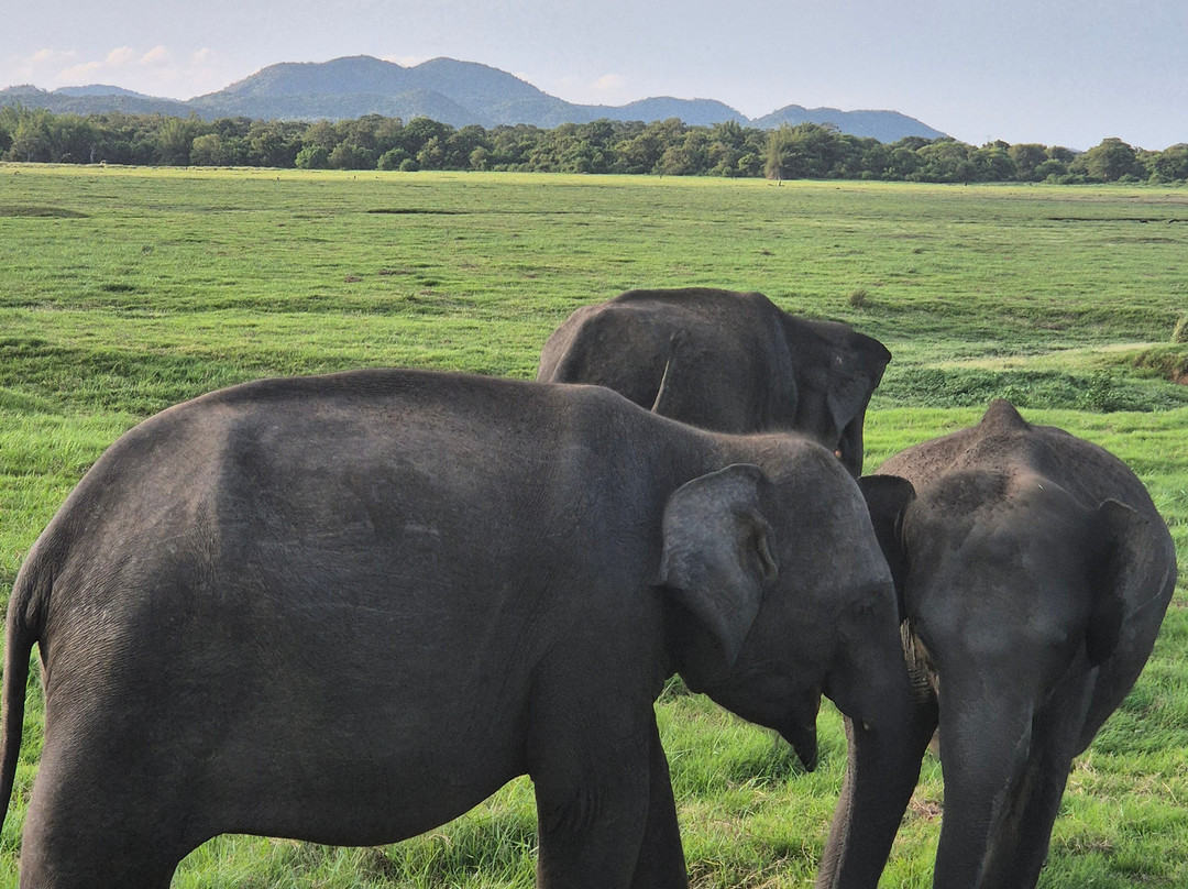 Nihar Srilanka Tours & Travels-Meemure必去景点