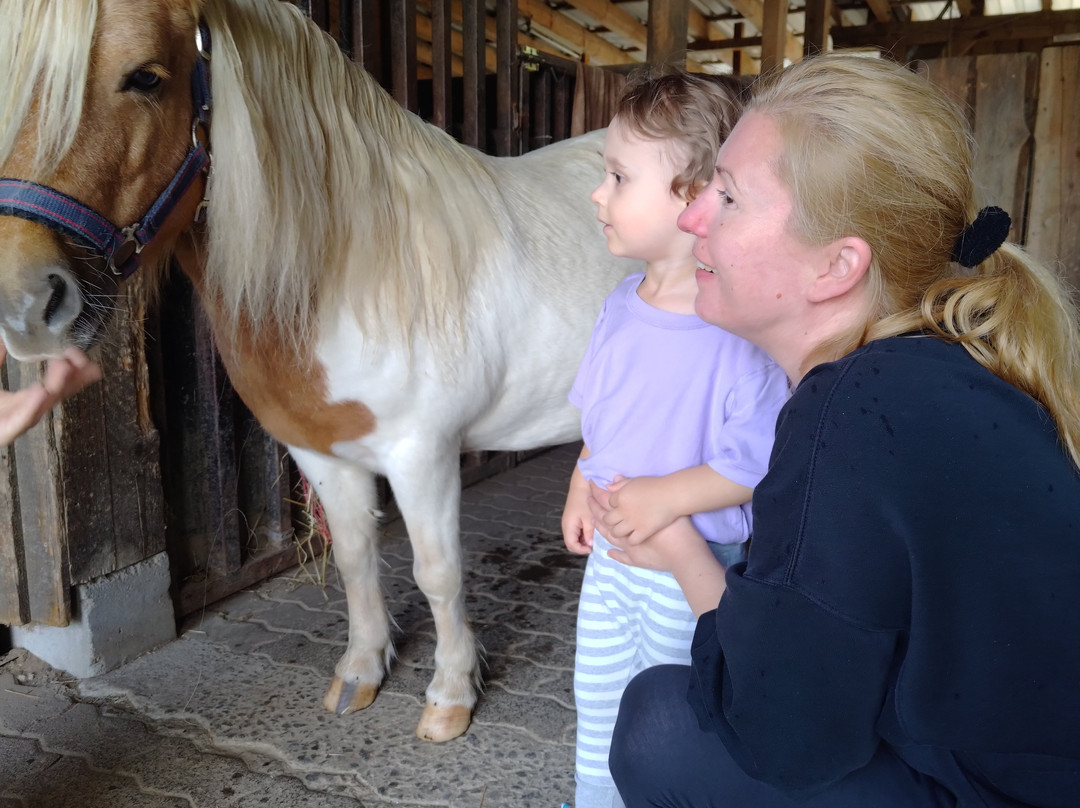 Familienhotel Ebbinghof主图