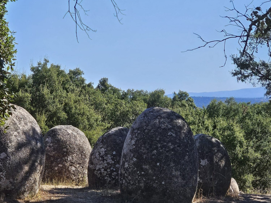 Cromeleque dos Almendres景点图片
