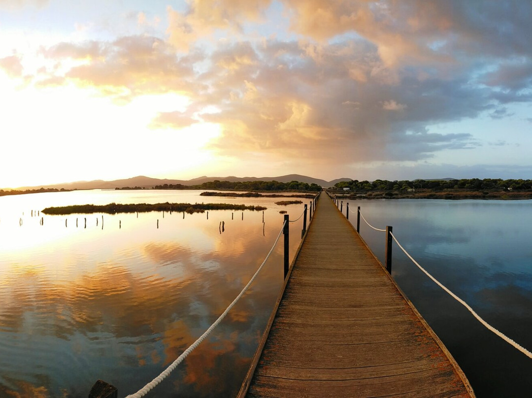 Bravo Porto Pino主图