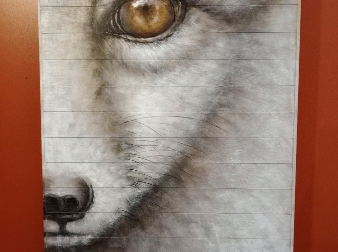 Arctic Divide Lodge主图