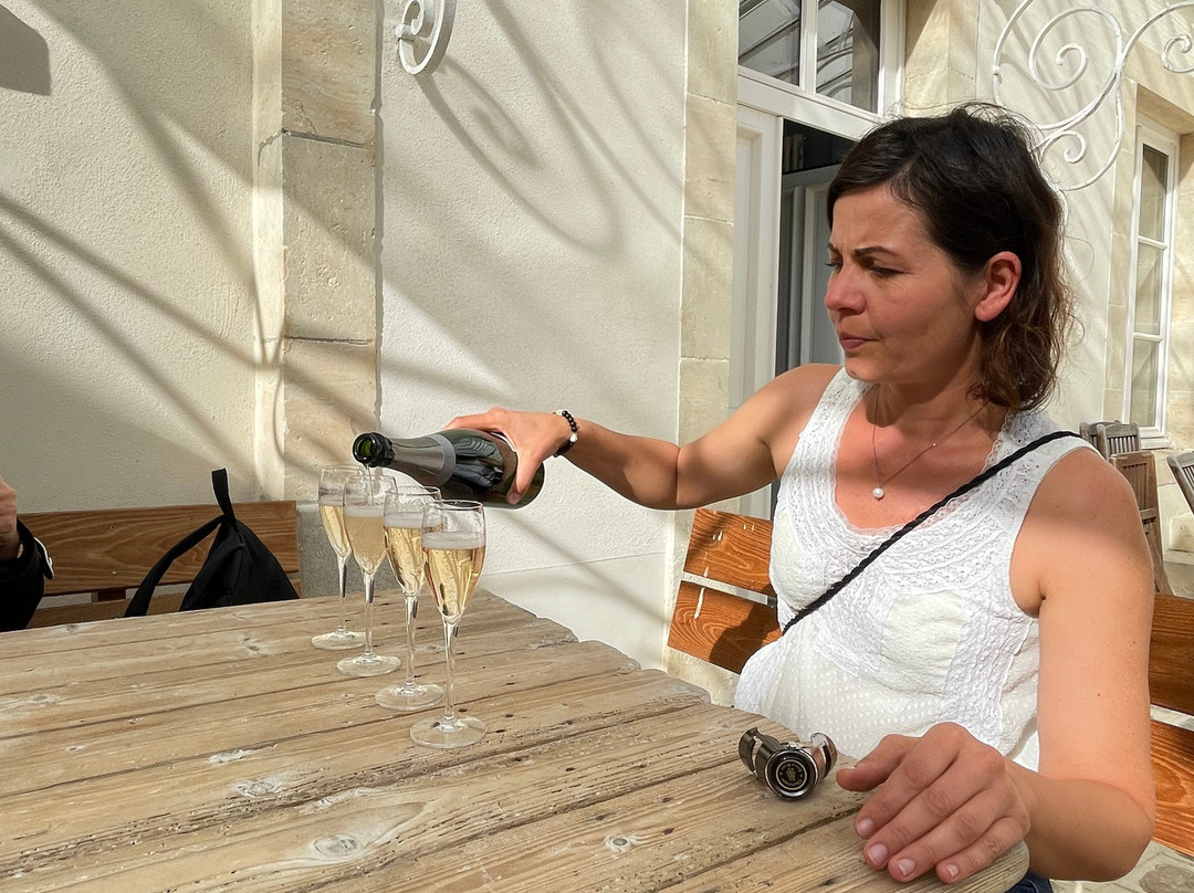 La Vigne du Roy Champagne Day Tours景点图片