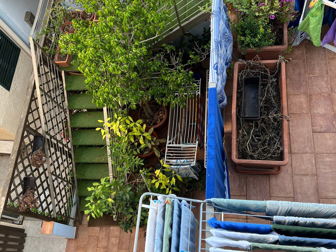 B&B I Tre Scalini主图