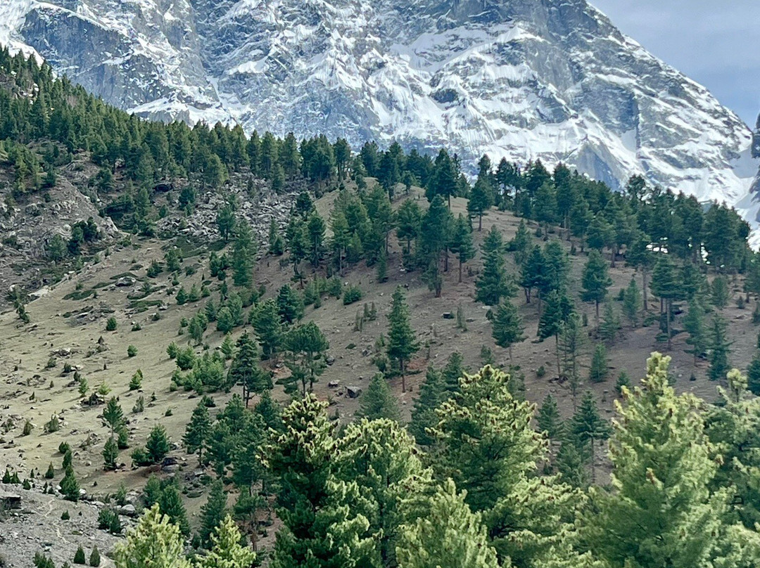 Basho Valley - Sultanabad Medow-Skardu必去景点