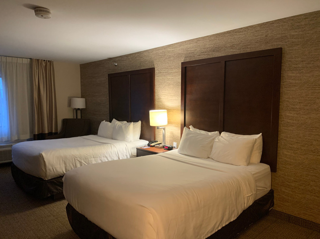 拉丁顿智选假日酒店主图