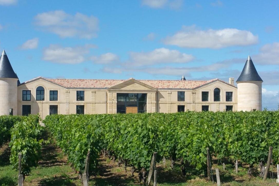 Chateau Tour Saint-Fort Chambre D'Hotes主图