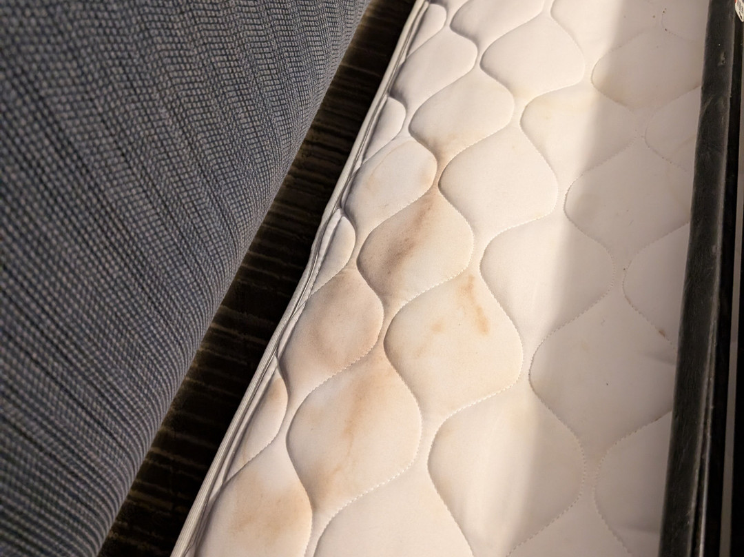 Holiday Inn Express & Suites Monroe By IHG主图