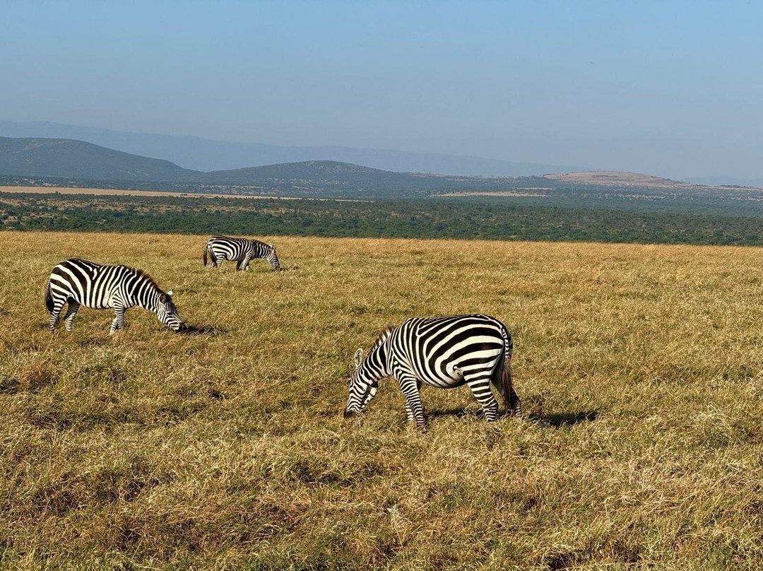 Elohim Tours & Travel-纳库鲁必去景点