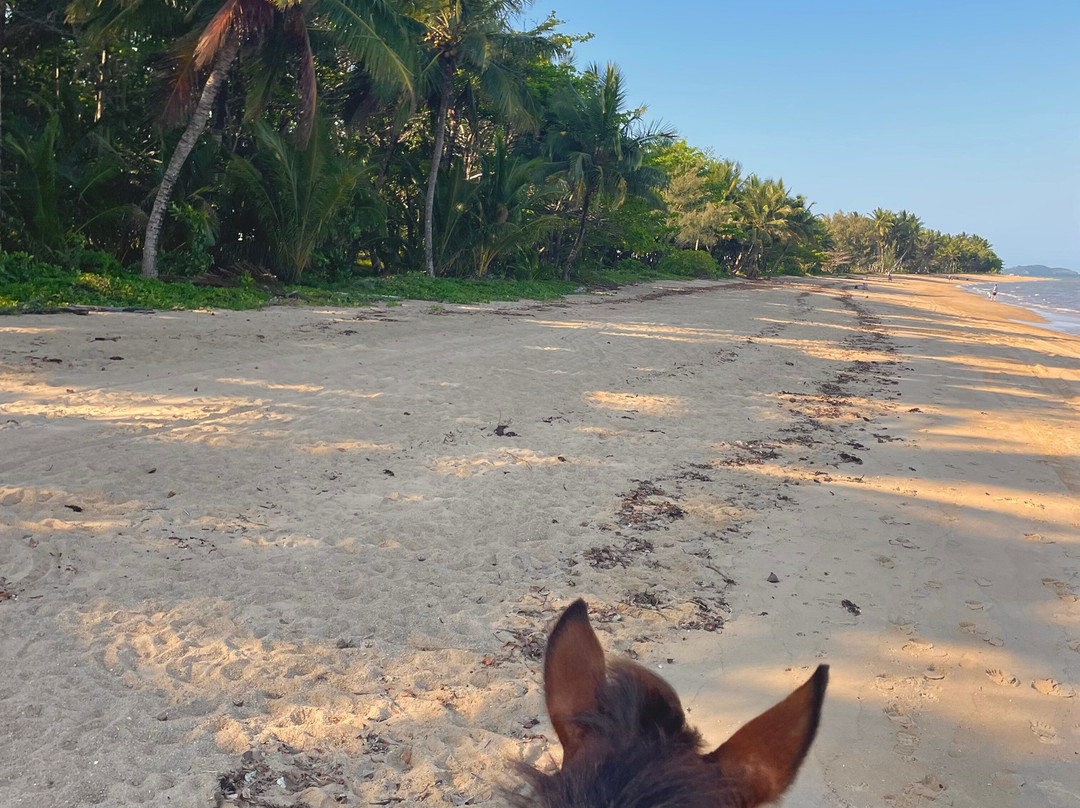 Kurrimine Beach Horse Rides景点图片