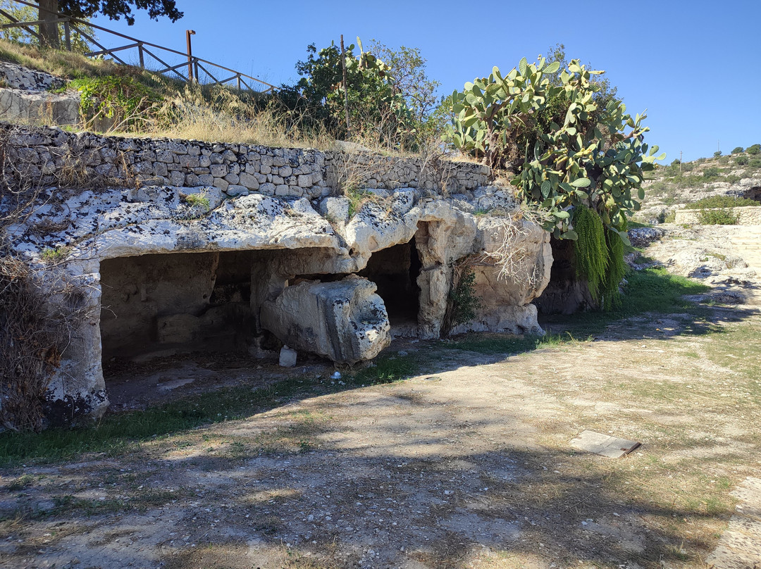 Sito Archeologico Del Parco Forza景点图片