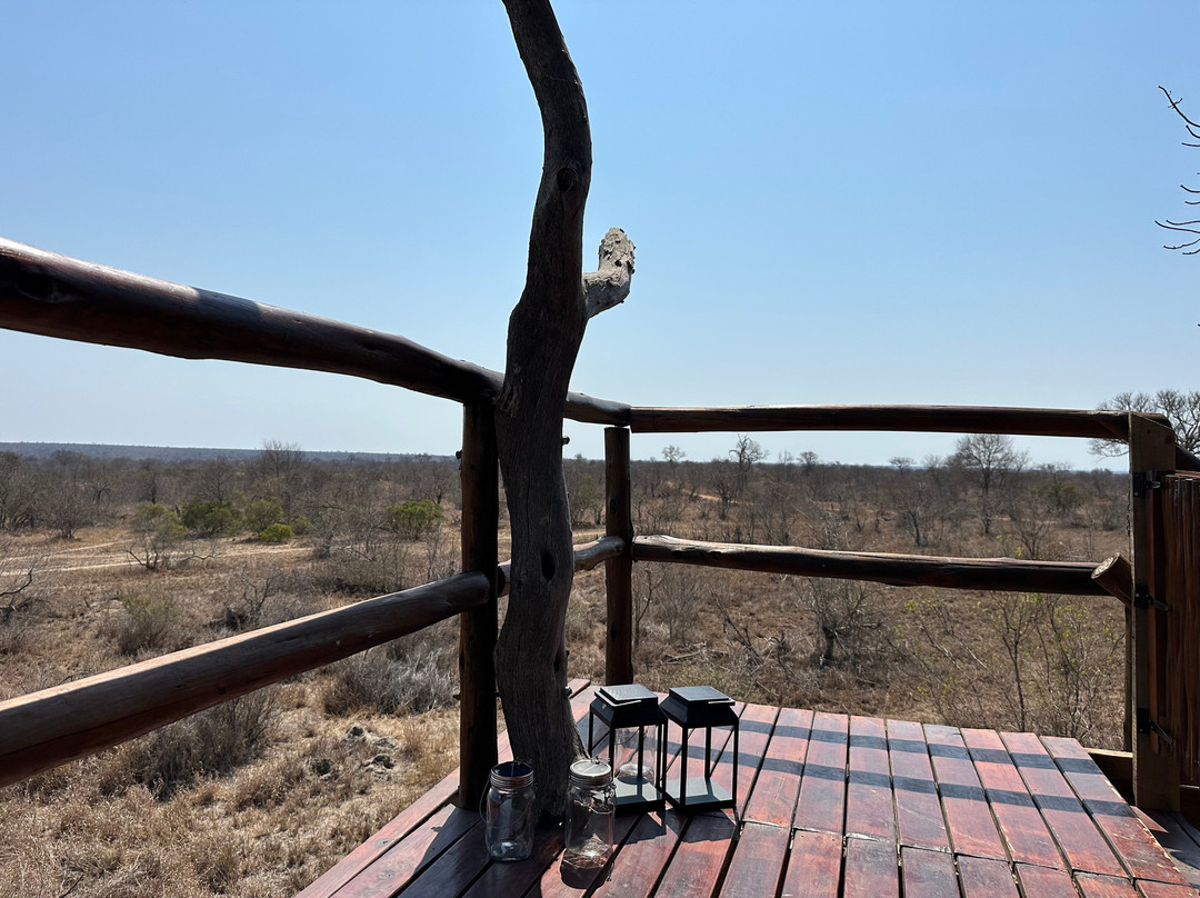 Africa On Foot Camp主图