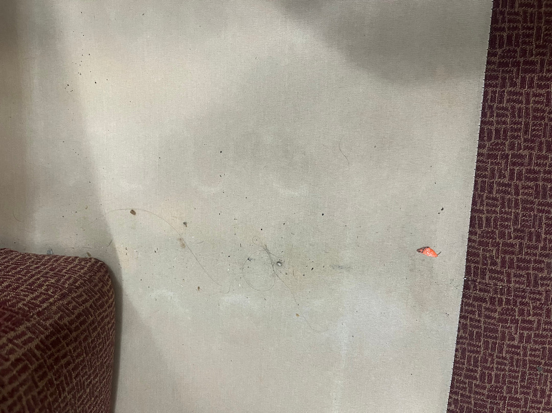 Southern Oaks Inn主图