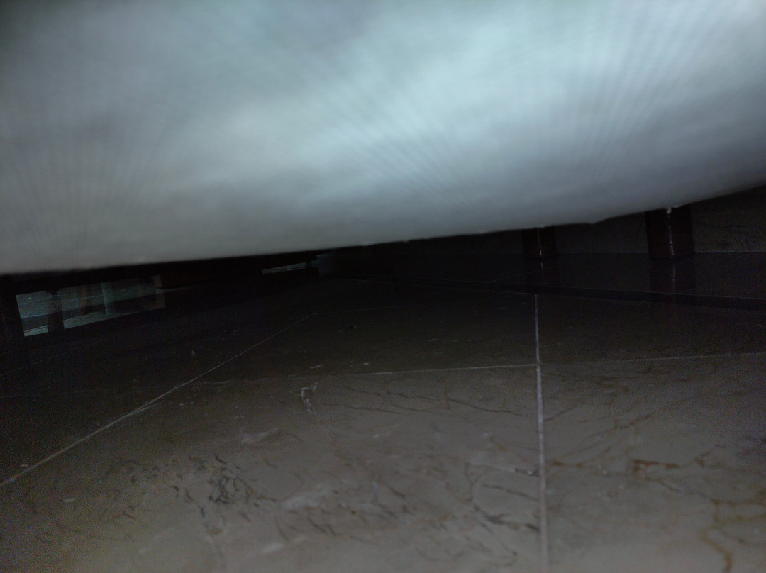 Villahermosa Marriott Hotel主图