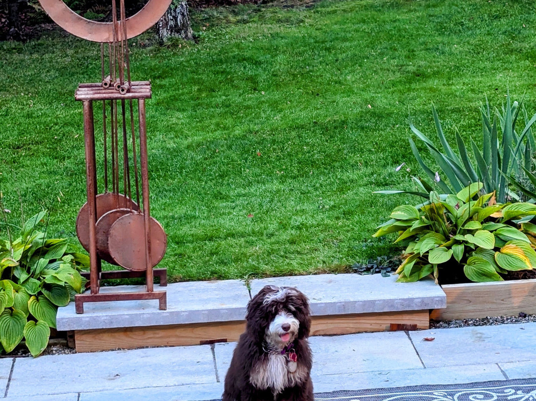 Snow Goose Inn主图