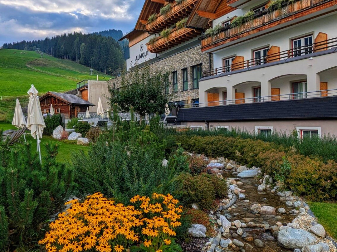 ALMGUT - Mountain Wellness Hotel主图