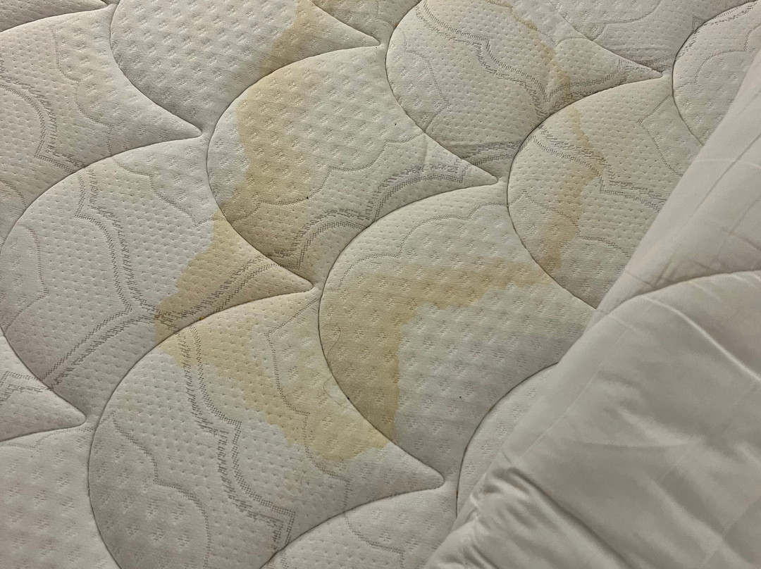 奥本山希尔顿套房酒店主图