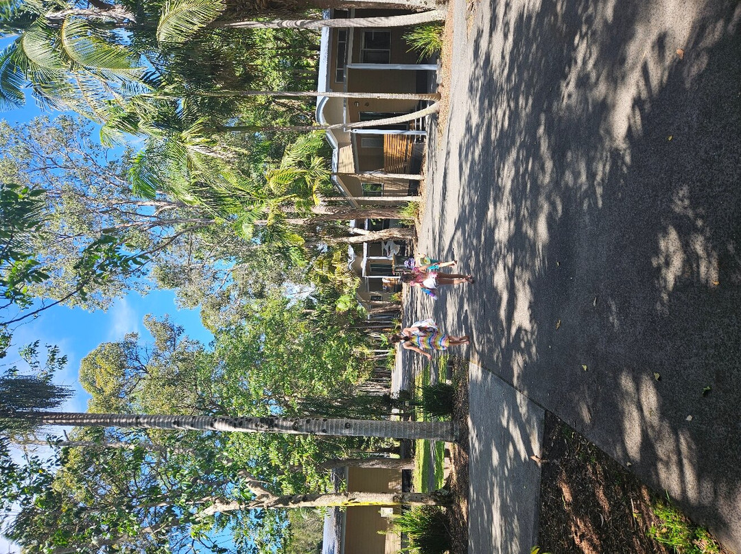 Angourie Resort主图