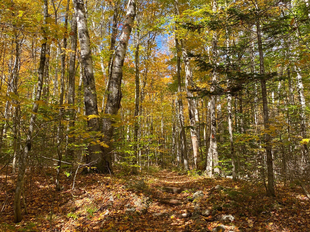 Grafton Notch State Park景点图片